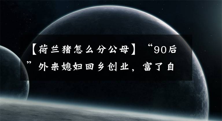 【荷蘭豬怎么分公母】“90后”外來(lái)媳婦回鄉(xiāng)創(chuàng)業(yè)，富了自己也幫了村民