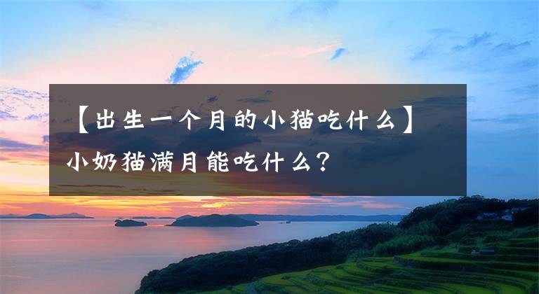 【出生一個(gè)月的小貓吃什么】小奶貓滿月能吃什么？