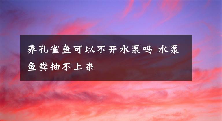 養(yǎng)孔雀魚可以不開水泵嗎 水泵魚糞抽不上來