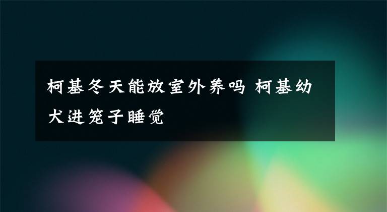 柯基冬天能放室外養(yǎng)嗎 柯基幼犬進籠子睡覺