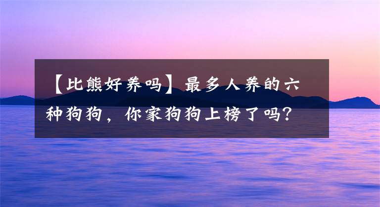 【比熊好養(yǎng)嗎】最多人養(yǎng)的六種狗狗，你家狗狗上榜了嗎？