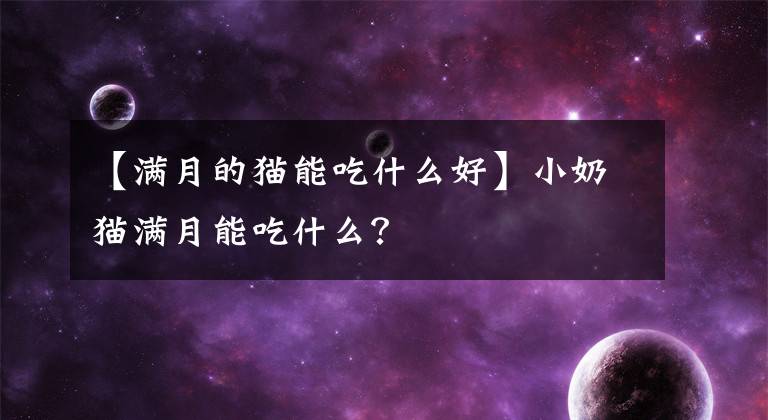 【滿月的貓能吃什么好】小奶貓滿月能吃什么？