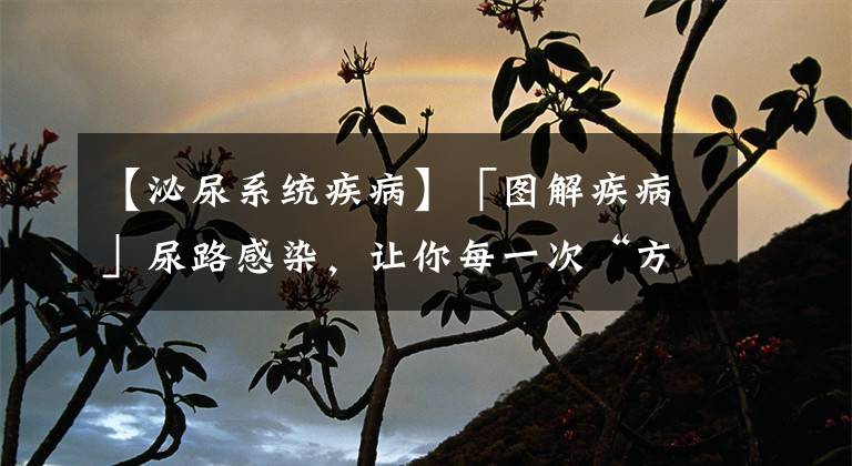 【泌尿系統(tǒng)疾病】「圖解疾病」尿路感染，讓你每一次“方便”都不方便