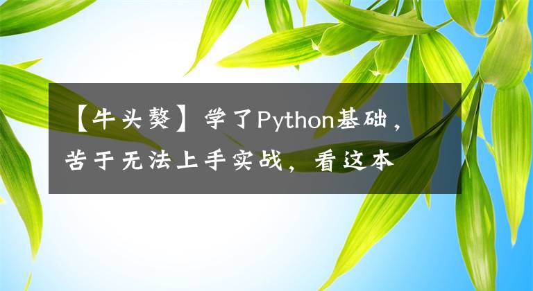 【牛頭獒】學了Python基礎，苦于無法上手實戰(zhàn)，看這本