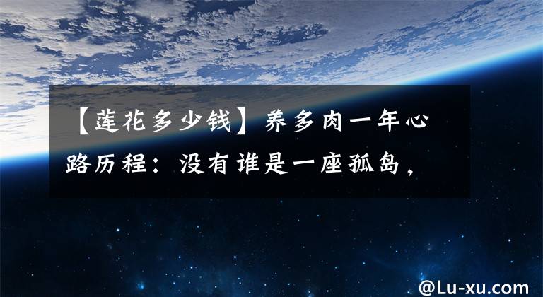 【蓮花多少錢】養(yǎng)多肉一年心路歷程：沒有誰是一座孤島，每棵多肉都是一個世界！