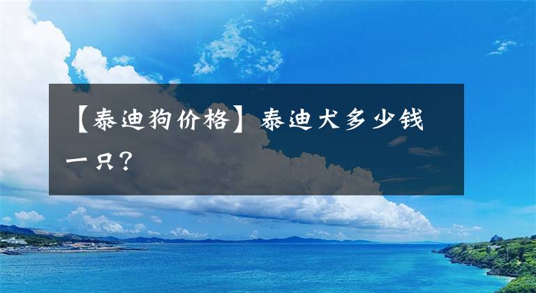 【泰迪狗價格】泰迪犬多少錢一只？