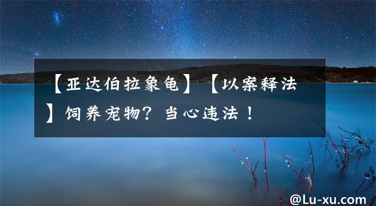 【亞達(dá)伯拉象龜】【以案釋法】飼養(yǎng)寵物？當(dāng)心違法！