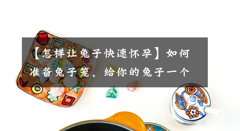 【怎樣讓兔子快速懷孕】如何準(zhǔn)備兔子籠，給你的兔子一個(gè)舒適的窩