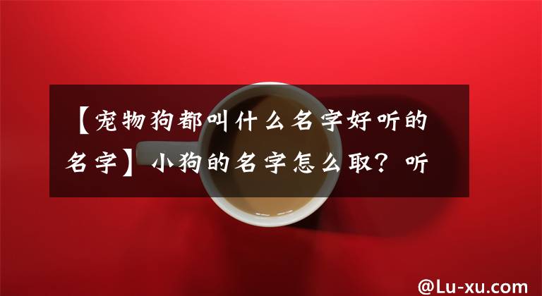 【寵物狗都叫什么名字好聽(tīng)的名字】小狗的名字怎么取？聽(tīng)西式狗的名字大全