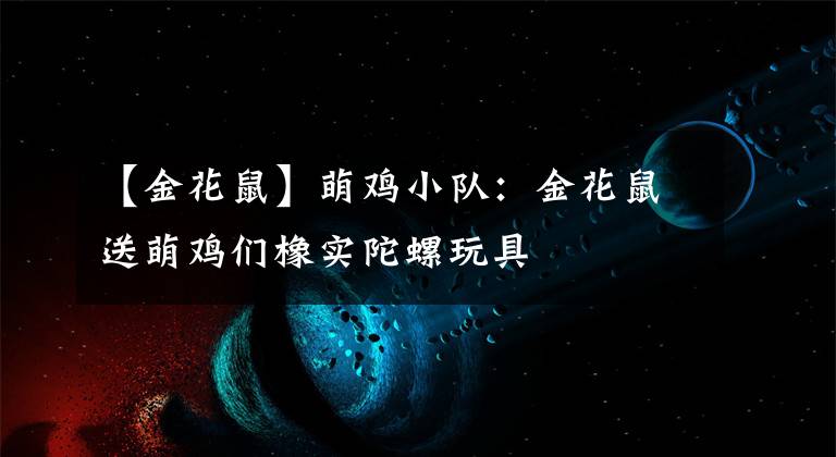 【金花鼠】萌雞小隊(duì)：金花鼠送萌雞們橡實(shí)陀螺玩具