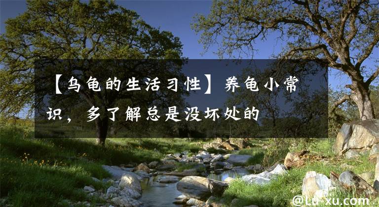 【烏龜?shù)纳盍?xí)性】養(yǎng)龜小常識，多了解總是沒壞處的