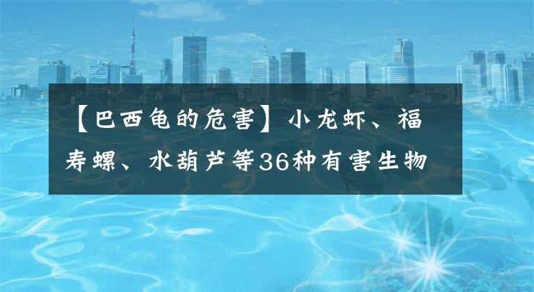 【巴西龜?shù)奈：Α啃↓埼r、福壽螺、水葫蘆等36種有害生物已相繼入侵 江西5部門聯(lián)手防范外來物種入侵風(fēng)險