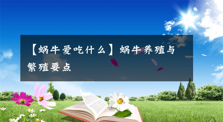 【蝸牛愛(ài)吃什么】蝸牛養(yǎng)殖與繁殖要點(diǎn)