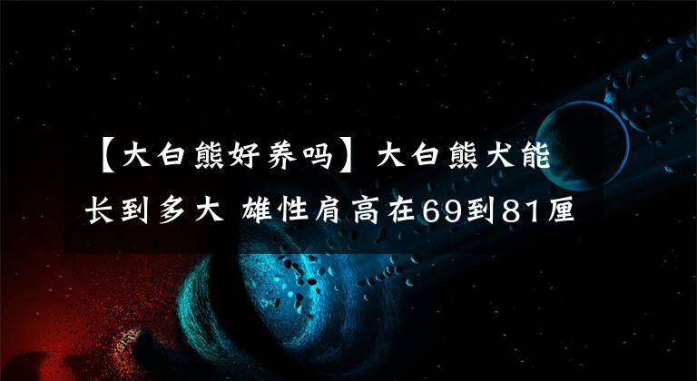 【大白熊好養(yǎng)嗎】大白熊犬能長到多大 雄性肩高在69到81厘米