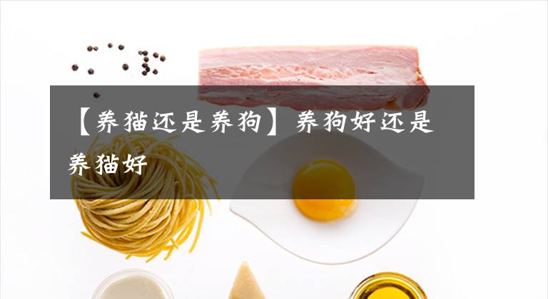 【養(yǎng)貓還是養(yǎng)狗】養(yǎng)狗好還是養(yǎng)貓好