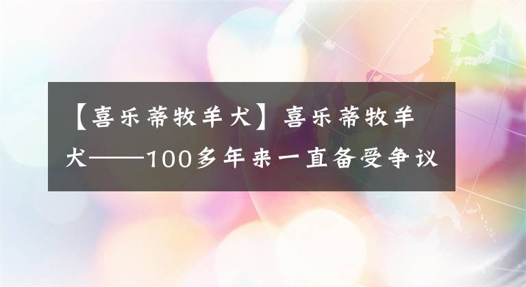 【喜樂蒂牧羊犬】喜樂蒂牧羊犬——100多年來一直備受爭(zhēng)議