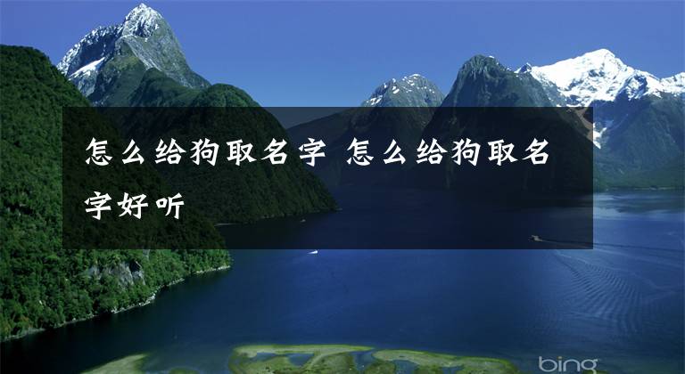 怎么給狗取名字 怎么給狗取名字好聽(tīng)