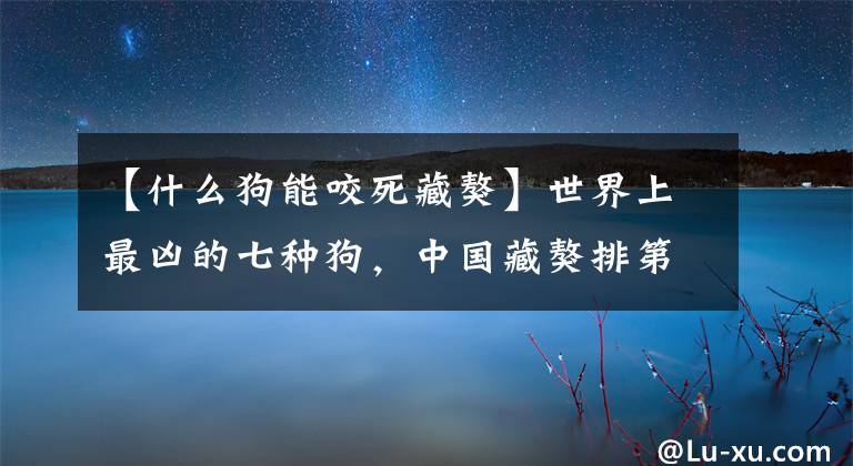 【什么狗能咬死藏獒】世界上最兇的七種狗，中國藏獒排第三，第一位打兩頭鬣狗都不虛