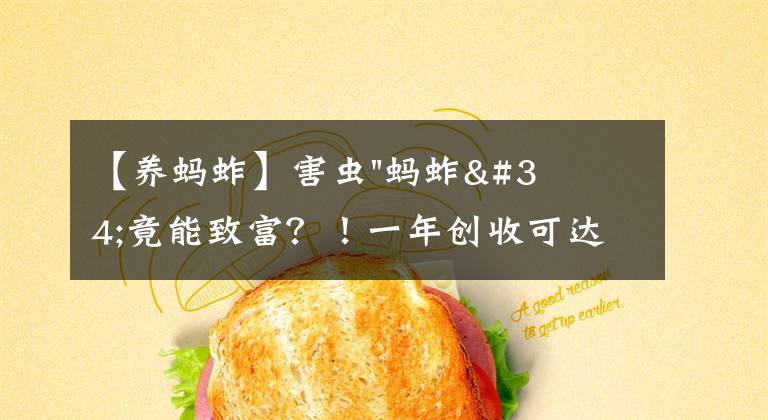 【養(yǎng)螞蚱】害蟲"螞蚱"竟能致富？！一年創(chuàng)收可達(dá)上百萬！