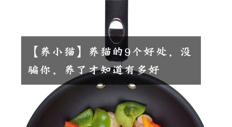 【養(yǎng)小貓】養(yǎng)貓的9個好處，沒騙你，養(yǎng)了才知道有多好