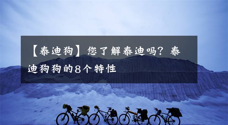 【泰迪狗】您了解泰迪嗎？泰迪狗狗的8個特性