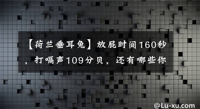 【荷蘭垂耳兔】放屁時(shí)間160秒，打嗝聲109分貝，還有哪些你不知道的奇怪世界紀(jì)錄