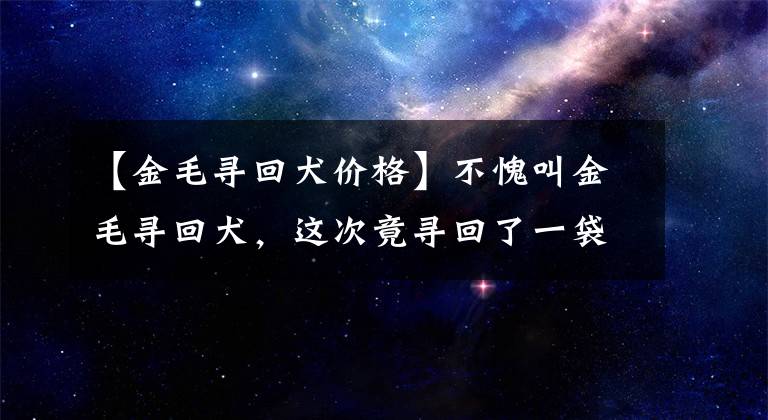 【金毛尋回犬價格】不愧叫金毛尋回犬，這次竟尋回了一袋子人民幣！