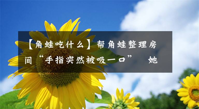 【角蛙吃什么】幫角蛙整理房間“手指突然被吸一口”　她曝奇妙觸感：軟軟黏黏