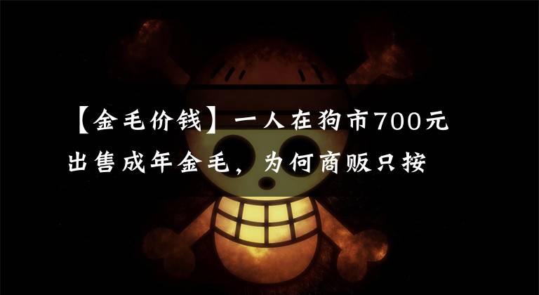 【金毛價錢】一人在狗市700元出售成年金毛，為何商販只按“5塊”收購？