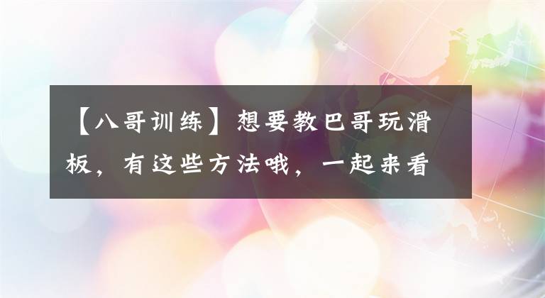 【八哥訓練】想要教巴哥玩滑板，有這些方法哦，一起來看看吧