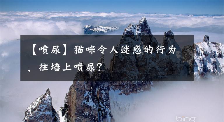 【噴尿】貓咪令人迷惑的行為，往墻上噴尿？