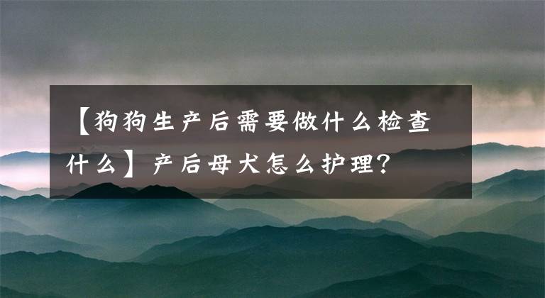 【狗狗生產(chǎn)后需要做什么檢查什么】產(chǎn)后母犬怎么護理？