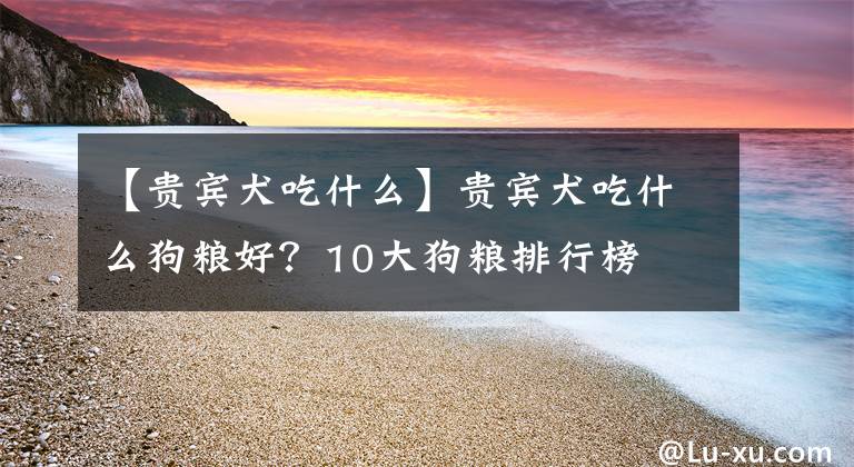 【貴賓犬吃什么】貴賓犬吃什么狗糧好？10大狗糧排行榜