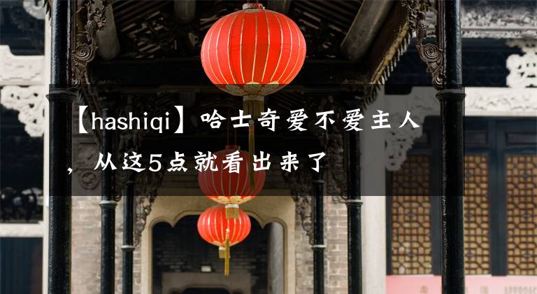 【hashiqi】哈士奇愛不愛主人，從這5點(diǎn)就看出來了