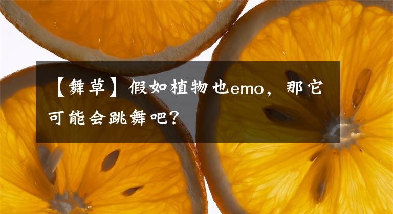 【舞草】假如植物也emo，那它可能會跳舞吧？