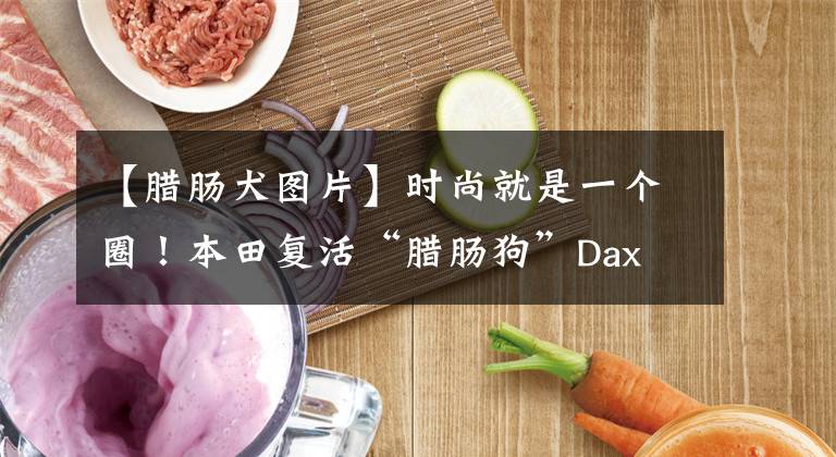 【臘腸犬圖片】時尚就是一個圈！本田復(fù)活“臘腸狗”Dax 125