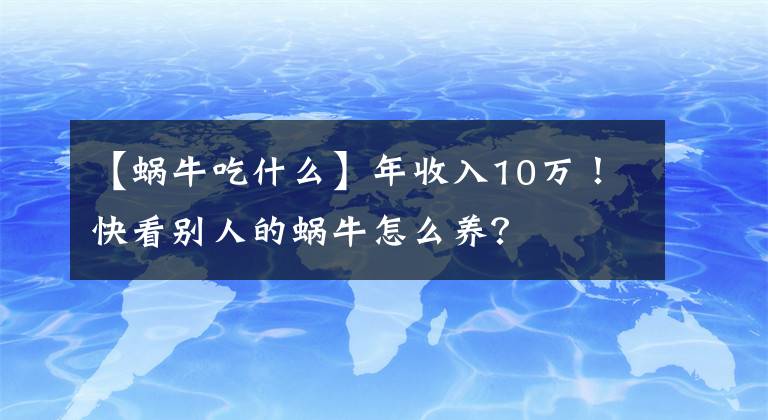 【蝸牛吃什么】年收入10萬！快看別人的蝸牛怎么養(yǎng)？