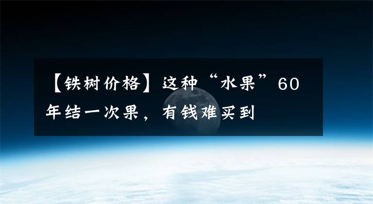 【鐵樹價格】這種“水果”60年結(jié)一次果，有錢難買到