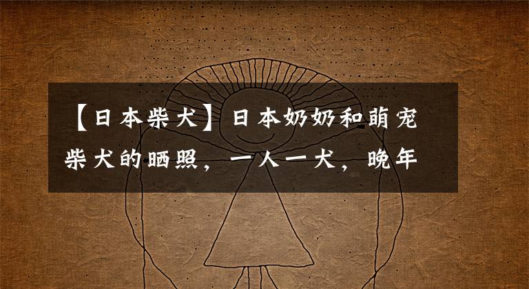 【日本柴犬】日本奶奶和萌寵柴犬的曬照，一人一犬，晚年生活過(guò)得又暖又精彩