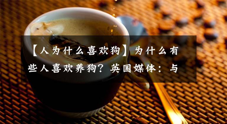 【人為什么喜歡狗】為什么有些人喜歡養(yǎng)狗？英國媒體：與基因組成有關(guān)