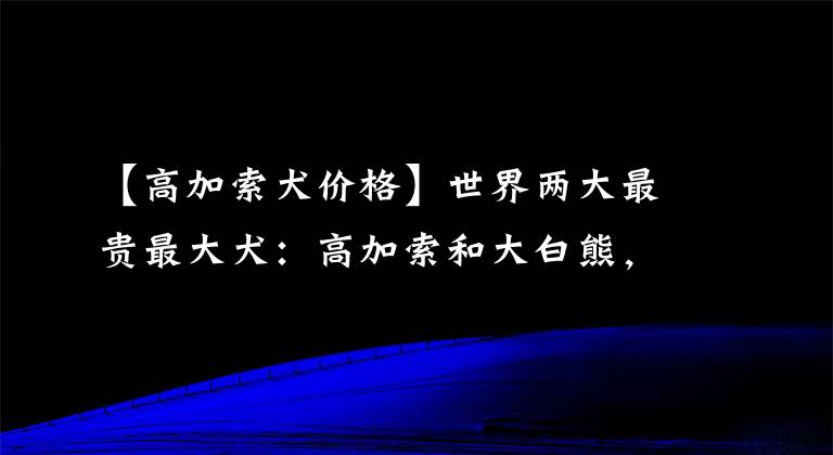 【高加索犬價格】世界兩大最貴最大犬：高加索和大白熊，純種價值好幾萬一條