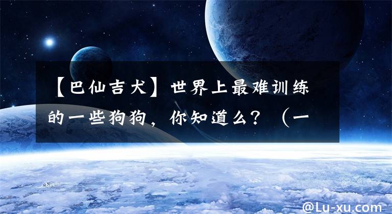 【巴仙吉犬】世界上最難訓(xùn)練的一些狗狗，你知道么？（一）