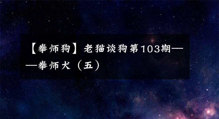 【拳師狗】老貓談狗第103期——拳師犬（五）