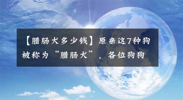 【臘腸犬多少錢】原來這7種狗被稱為“臘腸犬”，各位狗狗主人，臘腸犬你們知道嗎