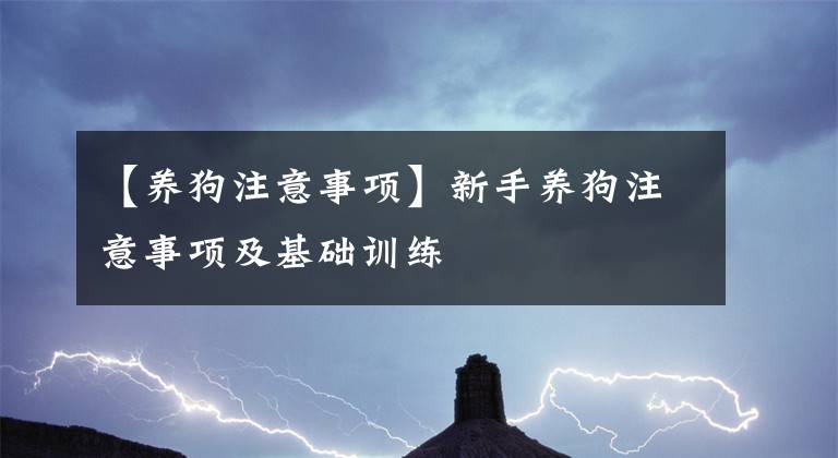 【養(yǎng)狗注意事項(xiàng)】新手養(yǎng)狗注意事項(xiàng)及基礎(chǔ)訓(xùn)練