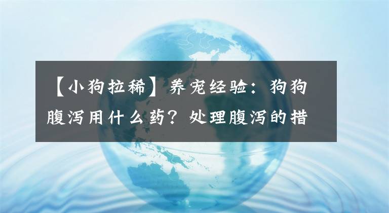 【小狗拉稀】養(yǎng)寵經(jīng)驗：狗狗腹瀉用什么藥？處理腹瀉的措施參考