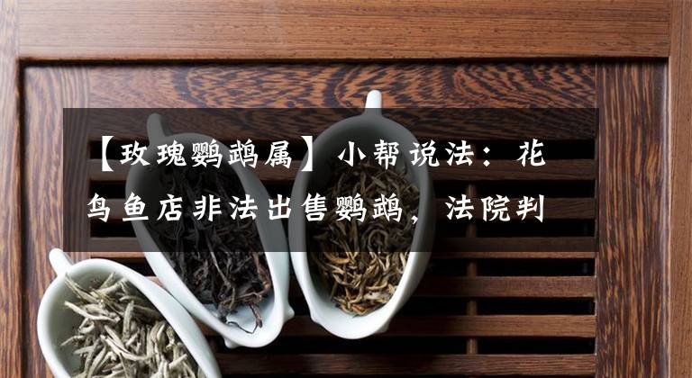 【玫瑰鸚鵡屬】小幫說法：花鳥魚店非法出售鸚鵡，法院判了