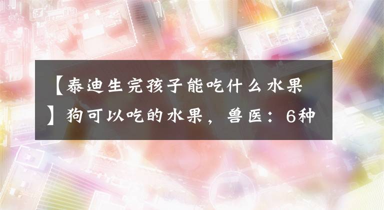 【泰迪生完孩子能吃什么水果】狗可以吃的水果，獸醫(yī)：6種對(duì)狗友好的常見(jiàn)水果。