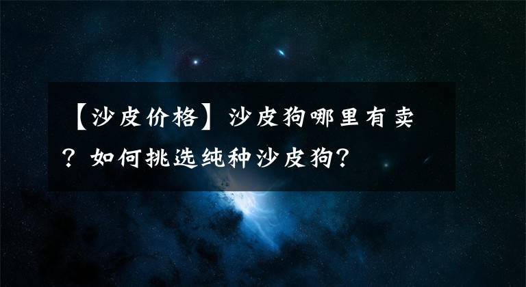 【沙皮價格】沙皮狗哪里有賣？如何挑選純種沙皮狗？