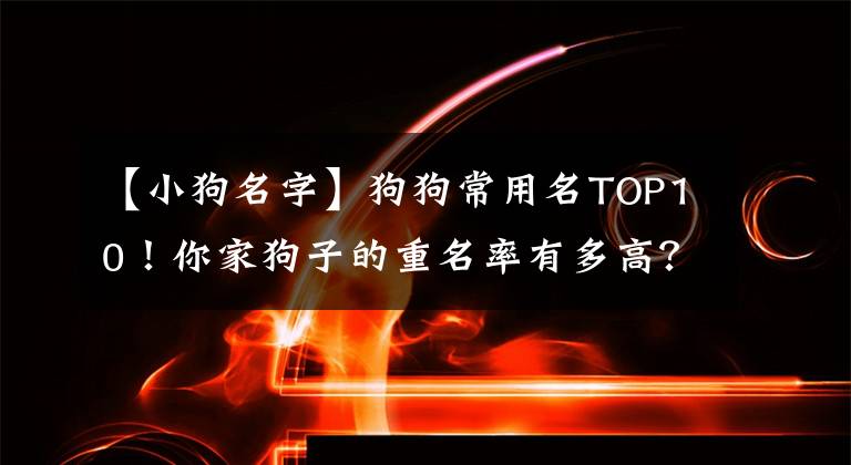 【小狗名字】狗狗常用名TOP10！你家狗子的重名率有多高？